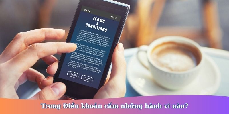 Điều khoản